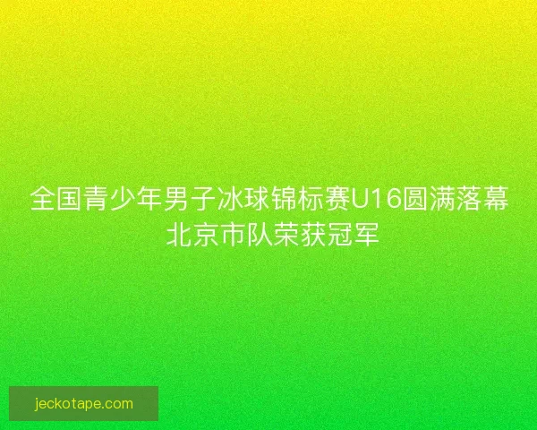 全国青少年男子冰球锦标赛U16圆满落幕 北京市队荣获冠军